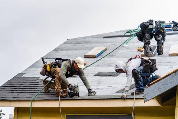 Professional Storm Damage Roof Repair technician working in Elizabethport, NJ